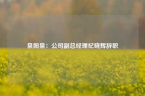 泉阳泉：公司副总经理纪晓辉辞职