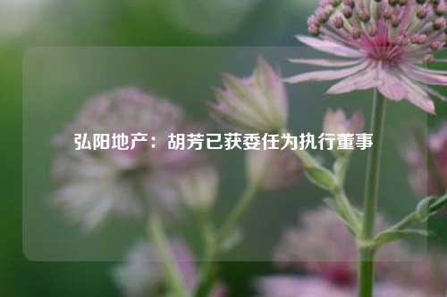 弘阳地产：胡芳已获委任为执行董事