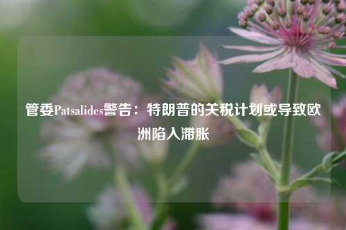 管委Patsalides警告：特朗普的关税计划或导致欧洲陷入滞胀