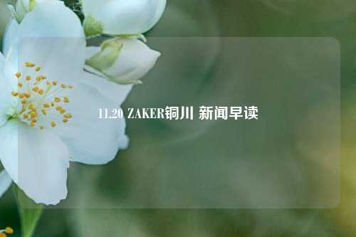 11.20 ZAKER铜川 新闻早读