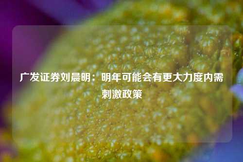 广发证券刘晨明：明年可能会有更大力度内需刺激政策