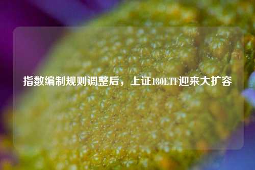 指数编制规则调整后，上证180ETF迎来大扩容