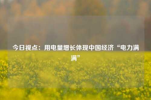 今日视点：用电量增长体现中国经济“电力满满”