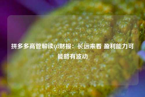 拼多多高管解读Q3财报：长远来看 盈利能力可能略有波动