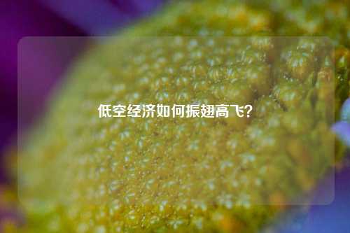 低空经济如何振翅高飞？