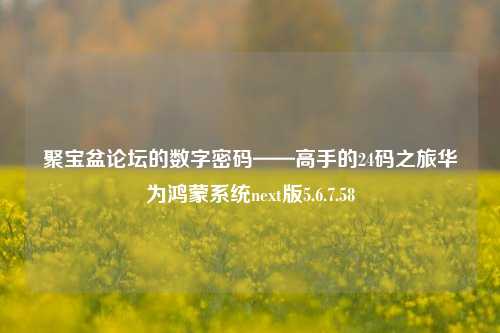 聚宝盆论坛的数字密码——高手的24码之旅华为鸿蒙系统next版5.6.7.58