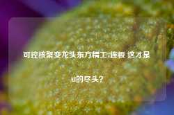 可控核聚变龙头东方精工7连板 这才是AI的尽头？