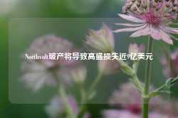 Northvolt破产将导致高盛损失近9亿美元