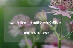 华芢生物第二次向港交所递交招股书 重点开发PDGF药物