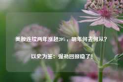 美股连续两年涨超20%，明年何去何从？以史为鉴：强劲回报稳了！