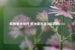 欧股集体低开 欧洲斯托克50指数跌0.75%