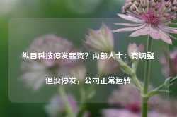 纵目科技停发薪资？内部人士：有调整但没停发，公司正常运转