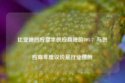 比亚迪回应要求供应商降价10%：与供应商年度议价是行业惯例