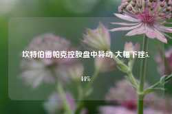 坎特伯雷帕克控股盘中异动 大幅下挫5.44%