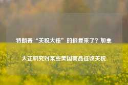 特朗普“关税大棒”的报复来了？加拿大正研究对某些美国商品征收关税