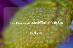 Terns Pharmaceuticals盘中异动 下午盘大幅拉升5.10%