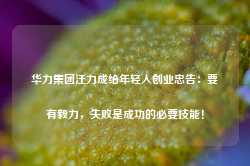 华力集团汪力成给年轻人创业忠告：要有毅力，失败是成功的必要技能！