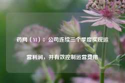 药网（YI）：公司连续三个季度实现运营利润，并有效控制运营费用