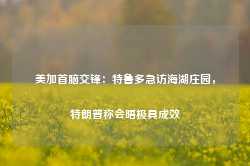 美加首脑交锋：特鲁多急访海湖庄园，特朗普称会晤极具成效