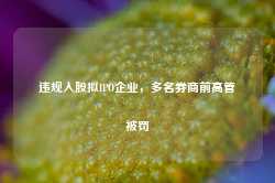 违规入股拟IPO企业，多名券商前高管被罚