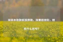 深圳本地股掀涨停潮，深赛格领衔，释放什么信号？