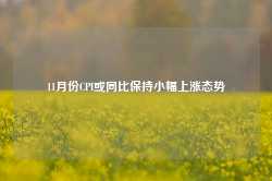 11月份CPI或同比保持小幅上涨态势