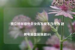 独立特别委员会没有发现不当行为 超微电脑盘前涨超18%