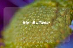 美股—最大的泡沫？