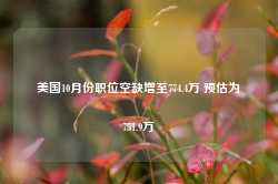 美国10月份职位空缺增至774.4万 预估为751.9万