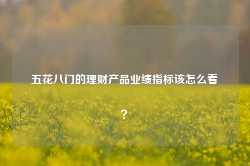 五花八门的理财产品业绩指标该怎么看？