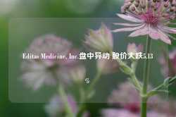 Editas Medicine, Inc.盘中异动 股价大跌5.13%