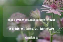 挪威主权基金明年将调查所持公司道德问题 制鞋商、加密公司、博彩运营商或面临撤资