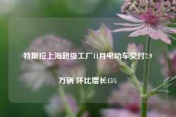 特斯拉上海超级工厂11月电动车交付7.9万辆 环比增长15%