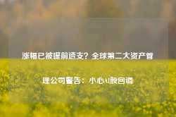 涨幅已被提前透支？全球第二大资产管理公司警告：小心AI股回调