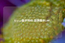 Kenvue盘中异动 急速跳水5.00%