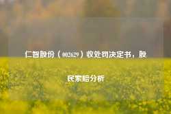 仁智股份（002629）收处罚决定书，股民索赔分析