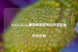 NexGen Energy赢得美国核电公司首批铀供应合同