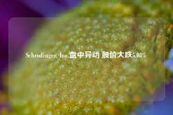 Schrodinger, Inc.盘中异动 股价大跌5.08%