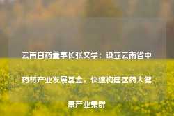 云南白药董事长张文学：设立云南省中药材产业发展基金，快速构建医药大健康产业集群