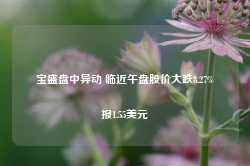 宝盛盘中异动 临近午盘股价大跌8.27%报1.55美元