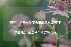 深圳一股民操纵东杰智能股票近4年亏损超2亿，证监会：罚款200万元