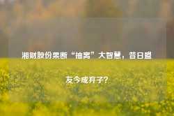 湘财股份果断“抽离”大智慧，昔日盟友今成弃子？