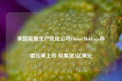 美国能源生产优化公司Flowco Holdings申请在美上市 拟筹资3亿美元