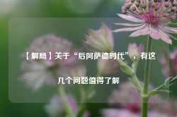 【解局】关于“后阿萨德时代”，有这几个问题值得了解