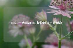 Reddit一度涨超10% 股价触及历史新高