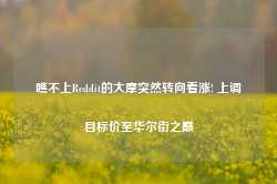 瞧不上Reddit的大摩突然转向看涨! 上调目标价至华尔街之巅