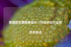 增值税发票数据显示 11月经济运行呈现这些亮点