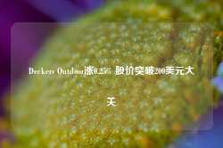 Deckers Outdoor涨0.25% 股价突破200美元大关