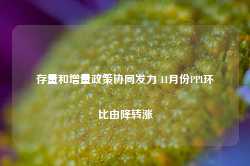 存量和增量政策协同发力 11月份PPI环比由降转涨