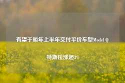 有望于明年上半年交付平价车型Model Q 特斯拉涨超3%